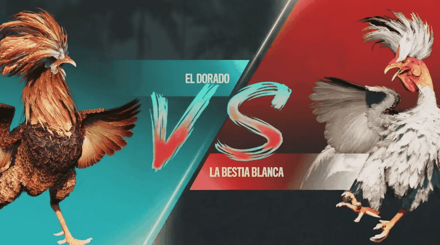 777jogo